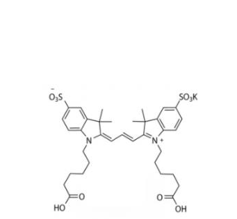 diSulfo-Cy3 acid/COOH/羧基羧酸(Di)，CAS:146397-17-3