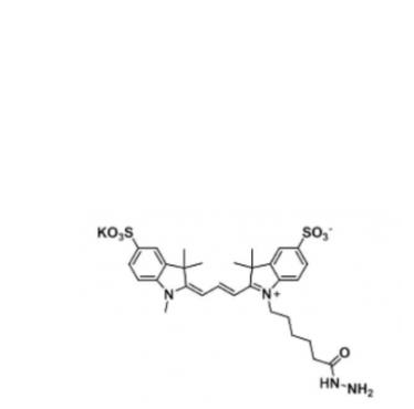 二磺酸基CY3 酰肼