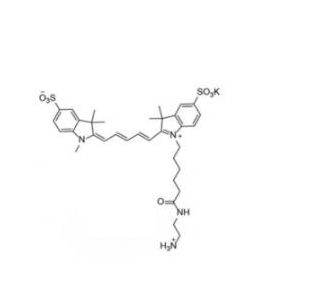 二磺酸基Cy5-氨基