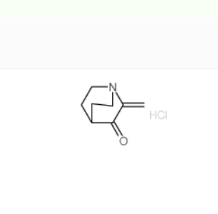 5832-54-2 2-亚甲基奎宁环-3-酮