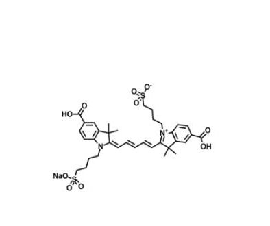 磺酸基Cy5-双琥珀酰亚胺活性酯