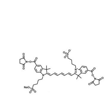 二磺酸基Cy7-双活性酯