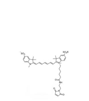 二磺酸基Cy7-马来酰亚胺(甲基)