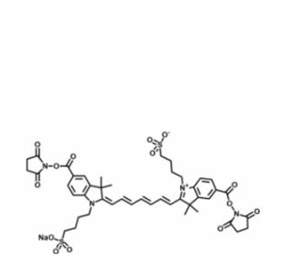 水溶性吲哚菁绿-活性酯(Bis）