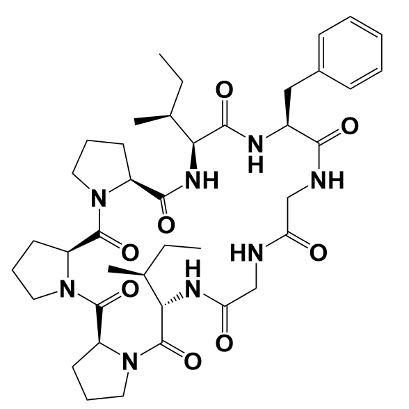 太子参环肽b