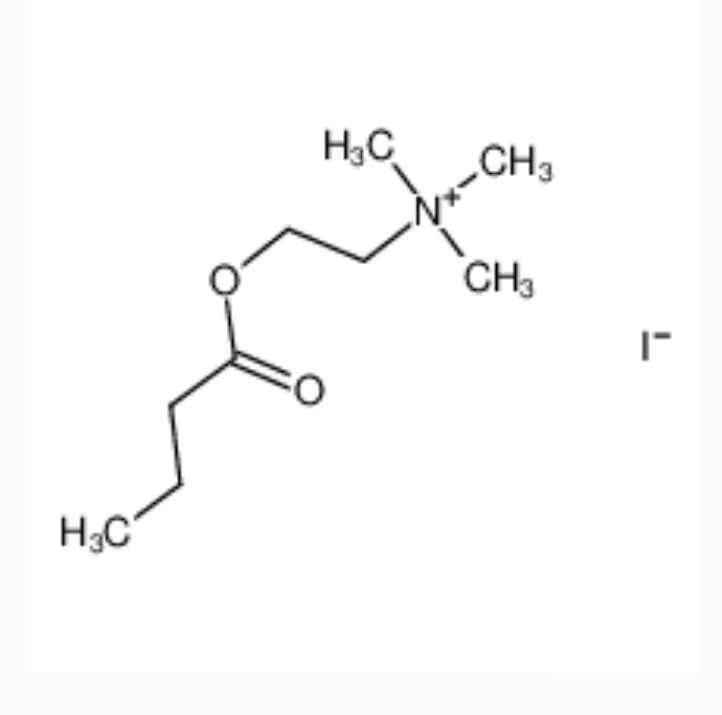 N-正丁酰基碘化胆碱