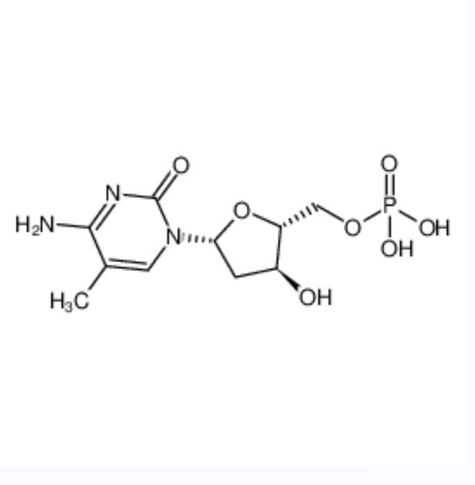 2'-deoxy-5-methyl-5'-cytidylic acid