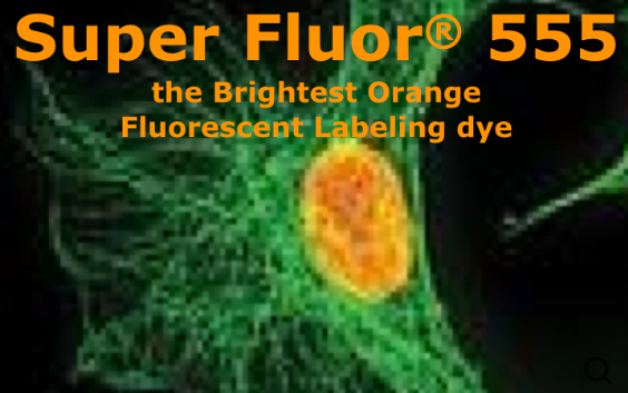 Super Fluor 555，Super Fluor 555,SE