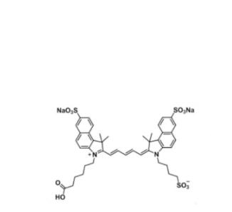 三磺酸基Cy5.5羧基