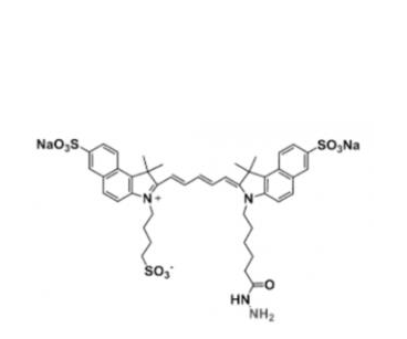 三磺酸基Cy5.5酰肼