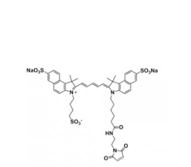 三磺酸基Cy5.5马来酰亚胺