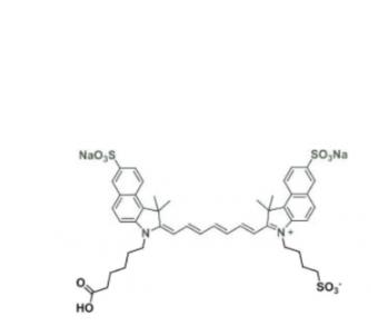 水溶性吲哚菁绿-羧基