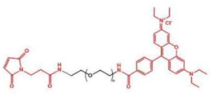 罗丹明聚乙二醇马来酰亚胺