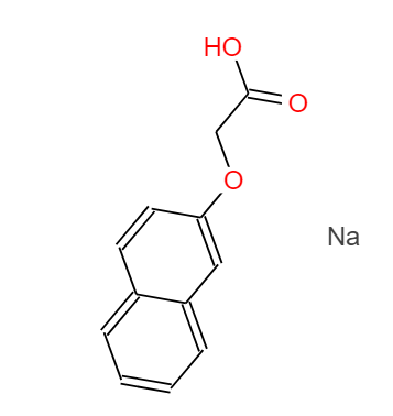 10042-71-4 2-萘氧基乙酸 钠盐