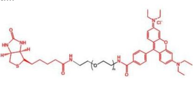 罗丹明聚乙二醇生物素