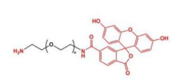 荧光素聚乙二醇氨基