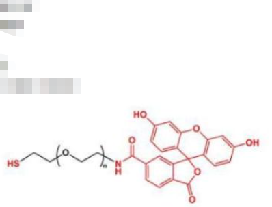 荧光素聚乙二醇巯基