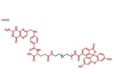 叶酸PEG荧光素，荧光素聚乙二醇叶酸