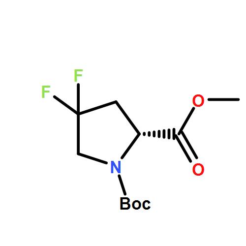 YFF00363