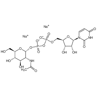 5′-二磷酸尿嘧啶核苷-N-乙酰半乳糖胺二钠盐