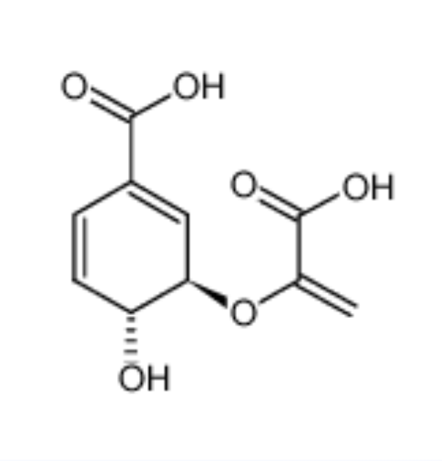 分支酸