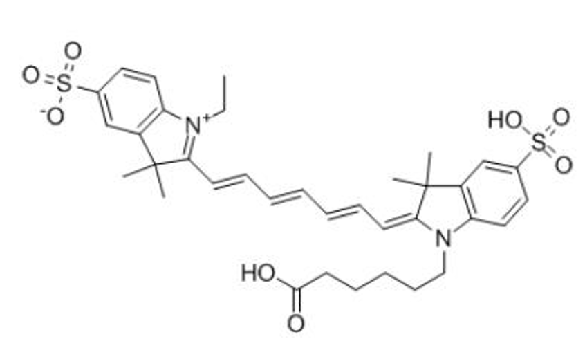 磺基-CY7 羧酸