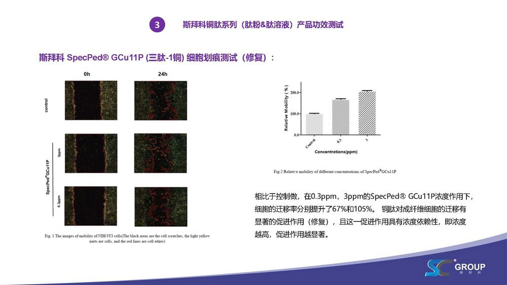 PPT-SpecPed庐-GCu11P-&-GHK-Cu-绯诲垪-(涓夎偨-1閾_-20210715(1)_椤甸潰_12.jpg