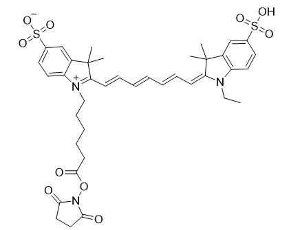 Cy7-N-琥珀酰亚胺酯（Cy7-Sulfo NHS Ester）