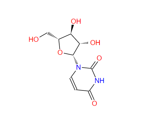 3083-77-0；阿糖尿苷