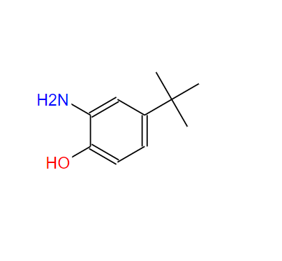 2-氨基-4-叔丁基苯酚