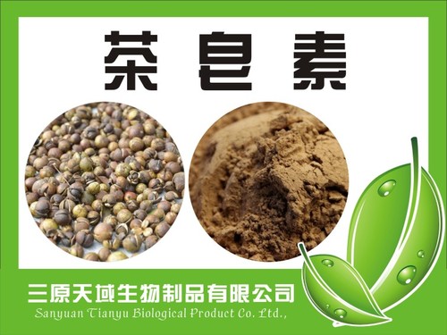 茶皂素98%  65% 绿茶提取物