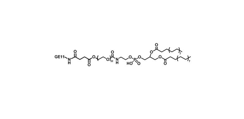 DSPE-PEG-GE11，磷脂-聚乙二醇-肿瘤细胞表皮生长因子肽GE11