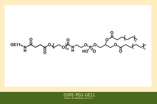 DSPE-PEG-GE11，磷脂-聚乙二醇-肿瘤细胞表皮生长因子肽GE11