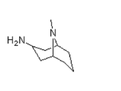 内向-9-甲基-9-氮杂双环[3,3,1]壬烷-3-胺