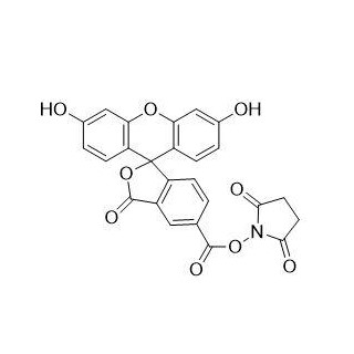 5-羧基荧光素琥珀酰亚胺酯