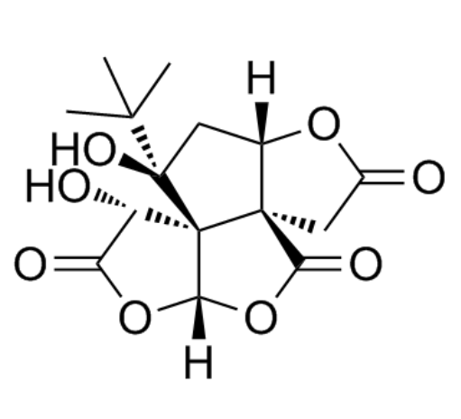 白果内酯