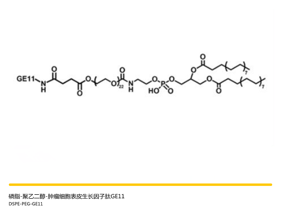 DSPE-PEG-GE11，磷脂-聚乙二醇-靶向多肽GE11，一种EGFR的靶向多肽GE11