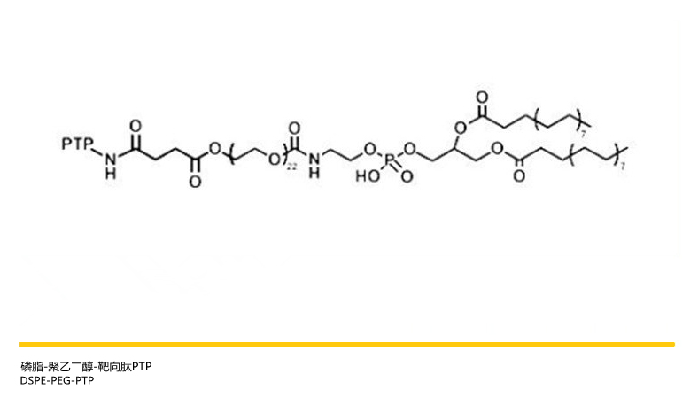 DSPE-PEG-PTP，磷脂-聚乙二醇-靶向肽PTP，靶向功能材料供应