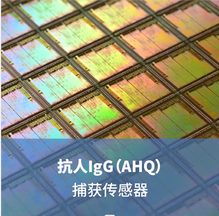 抗人IgG（AHQ）捕获传感器