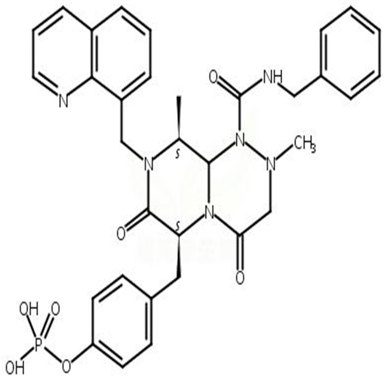 β-catenin   1198780-38-9 