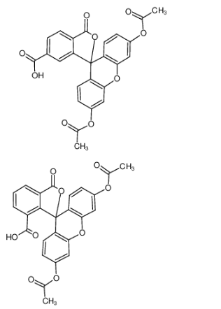 5(6)-羧基荧光素二乙酸酯