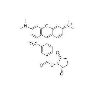 5-羧基四甲基罗丹明琥珀酰亚胺酯   150810-68-7