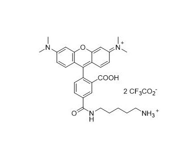 5-羧基四甲基罗丹明尸胺  5-TAMRA cadaverine