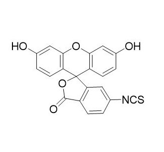 6-异硫氰酸荧光素酯   18861-78-4