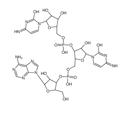 3128-37-8；腺嘌呤基(3’-5’)胞苷酰(3’-5’)胞苷