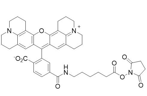 6-羧基-AHA-罗丹明琥珀酰亚胺酯（6-ROX-AHA SE）