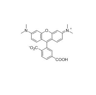 6-羧基四甲基罗丹明  91809-67-5