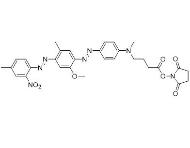 BHQ-1 琥珀酰亚胺酯  916753-61-2