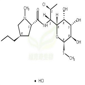 盐酸克林霉素