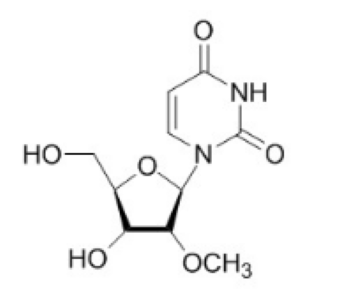 2'-甲氧基尿苷
